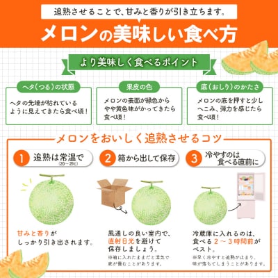 《数量・期間限定!!》とろける食感!北海道三笠メロン2玉(2.6kg以上)【0100103】