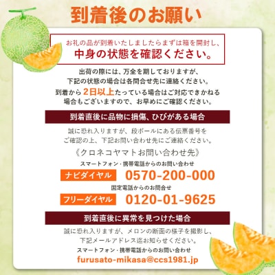 《2026年分受付中》とろける食感!北海道三笠メロン2玉(2.6kg以上)【0100104】