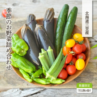 《令和8年分》数量限定!季節のお野菜詰め合わせ 夏(配送時期:7月～8月)【01017】