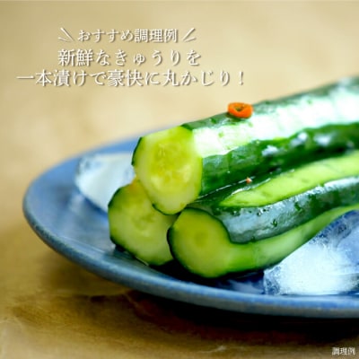 《令和8年分》数量限定!季節のお野菜詰め合わせ 夏(配送時期:7月～8月)【01017】
