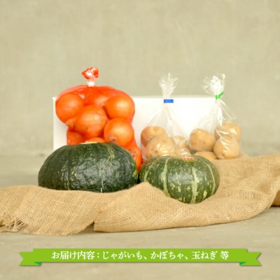 《令和8年分》数量限定!季節のお野菜詰め合わせ 秋(配送時期:9月～10月)【01018】