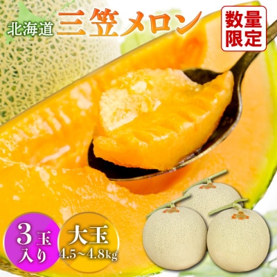 《2026年分受付中》大玉!北海道三笠メロン3玉入(4.5kg～4.8kg)【0100203】