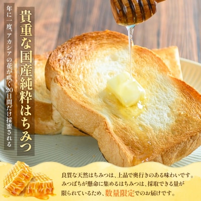 純粋はちみつ(あかしあ)600g《令和8年7頃より発送予定》【0106301】