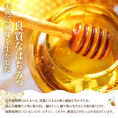純粋はちみつ(あかしあ)600g《令和8年7頃より発送予定》【0106301】