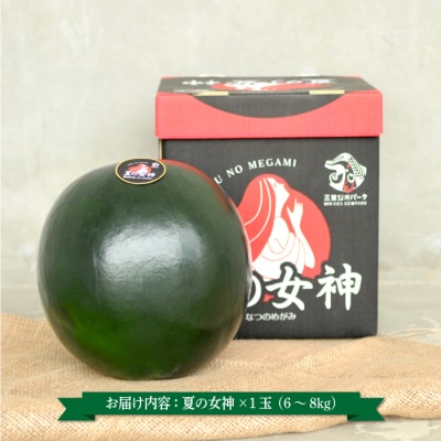 《2026年分受付中》『夏の女神』大玉!種が少なくて甘い黒皮スイカ1玉入(6～8kg)【01061】