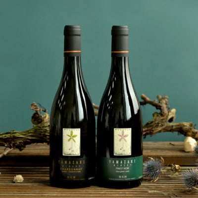 三國シェフ推奨!山崎ワイン(赤・白2本セット)各750ml【02002】