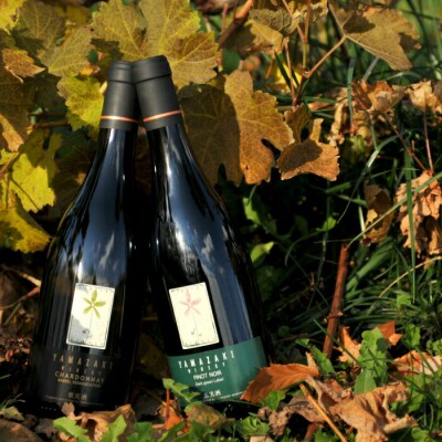 三國シェフ推奨!山崎ワイン(赤・白2本セット)各750ml【02002】