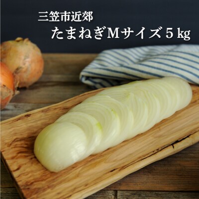【2023年秋発送】三笠aroundたまねぎMサイズ5kg【33001】