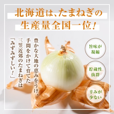 三笠aroundたまねぎMサイズ10kg《11月下旬頃より発送予定》【3300302】