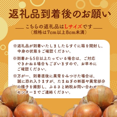 三笠aroundたまねぎLサイズ10kg《11月下旬頃より発送予定》【3300402】