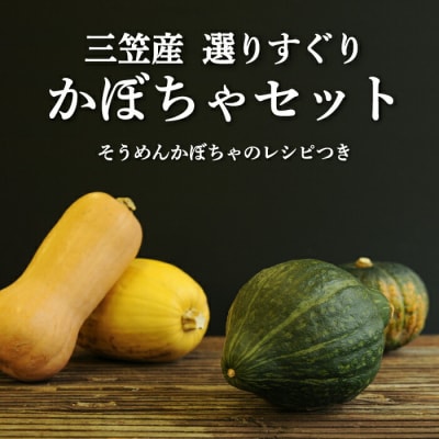 《令和7年分》数量限定!三笠市産 選りすぐり かぼちゃセット【01145】