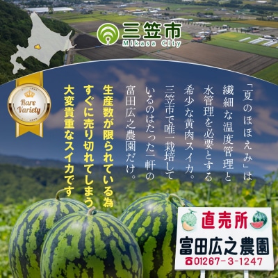 《2026年分受付中》黄色いスイカ夏のほほえみ1玉(4～6kg)【01146】
