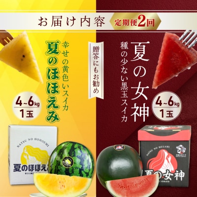 《2026年分受付中》【定期便2回】スイカ2種(夏のほほえみ・夏の女神)食べ比べ【01147】