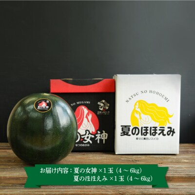 《2026年分受付中》スイカ2種(夏のほほえみ・夏の女神)食べ比べセット【01148】