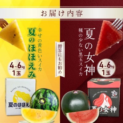 《2026年分受付中》スイカ2種(夏のほほえみ・夏の女神)食べ比べセット【01148】