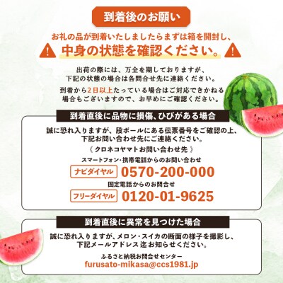 《2026年分受付中》スイカ2種(夏のほほえみ・夏の女神)食べ比べセット【01148】