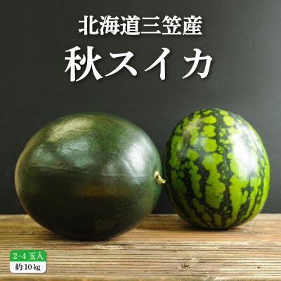 ≪令和5年分≫秋に収穫される赤色スイカor黄色スイカ2～4玉(約10kg)【01149】 | ふるさと納税のお礼品