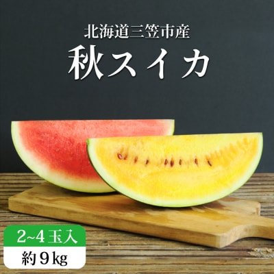《2026年分受付中》秋に収穫される赤色スイカor黄色スイカ2～4玉(約9kg)【01149】