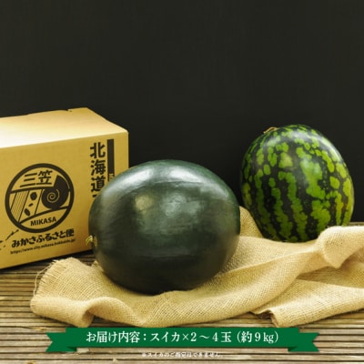 《2026年分受付中》秋に収穫される赤色スイカor黄色スイカ2～4玉(約9kg)【01149】