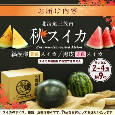 《2026年分受付中》秋に収穫される赤色スイカor黄色スイカ2～4玉(約9kg)【01149】