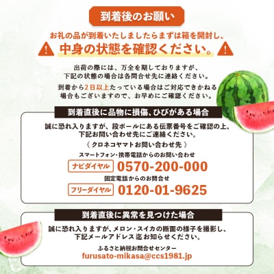 《2025年分受付中》秋に収穫される赤色スイカor黄色スイカ2～4玉(約9kg)【01149】