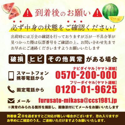 《2026年分受付中》秋に収穫される赤色スイカor黄色スイカ2～4玉(約9kg)【01149】