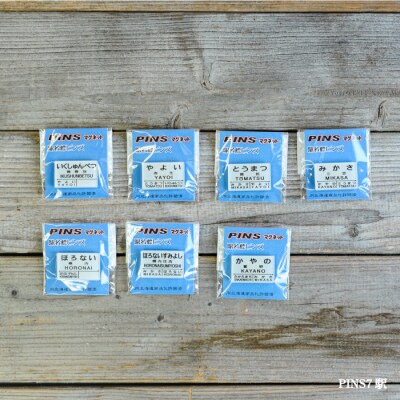 木製駅名標根付&PINS7駅セット<寄付使途指定>【1302501】
