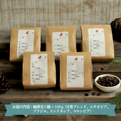 珈琲豆セット(100g×5種)北海道三笠市 2BeansCoffeeカフェ自家焙煎 【06001】