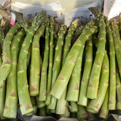 数量限定!三笠産グリーンアスパラ(800g)2026年5月31日受付締切【3600103】