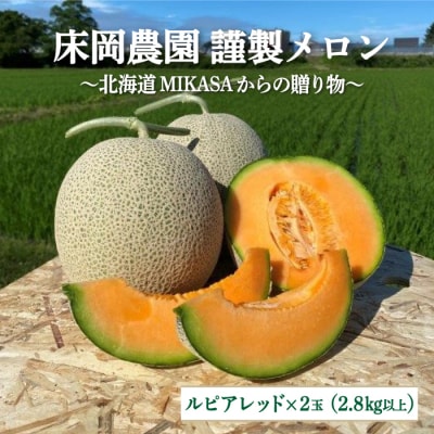 《2025年分受付中》床岡農園・謹製メロン(2玉入り2.8kg以上)【01165】