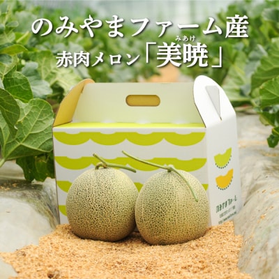 2025年分受付中 数量限定のみやまファームの赤肉メロン美暁(各1.6kg以上を2玉)【01167】