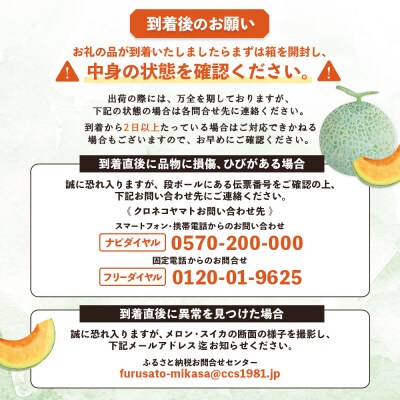 《2026年分受付中》三笠メロン3玉入(4.0kg以上)【0130101】