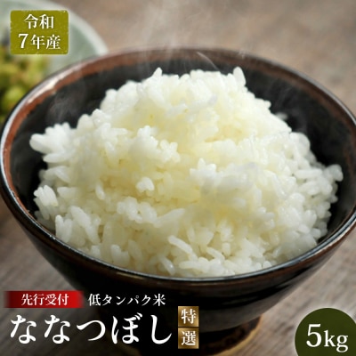 先行受付【令和7年産】最もおいしいとされるお米　ななつぼし(特選)5kg【41002】