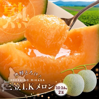 《2026年分受付中!7/6締め切り》【SDGS】I.Kメロン(2玉入)【01302】