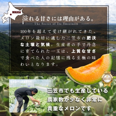 《2026年分受付中!7/2締め切り》【SDGS】I.Kメロン(2玉入)【01302】