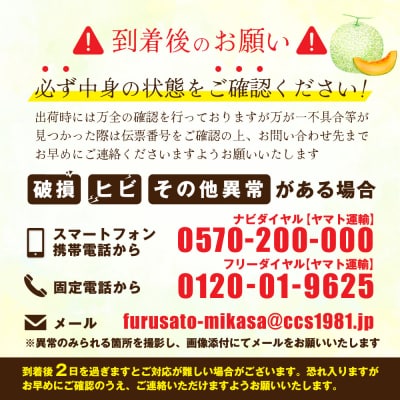 《2026年分受付中!7/2締め切り》【SDGS】I.Kメロン(2玉入)【01302】