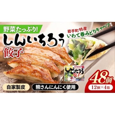 【キャベツの町】野菜たっぷり!しんいちろう餃子(12個入×4箱)