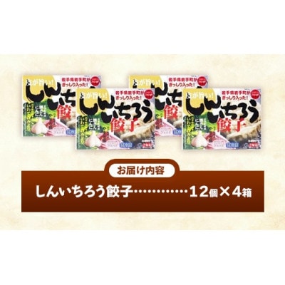 【キャベツの町】野菜たっぷり!しんいちろう餃子(12個入×4箱)