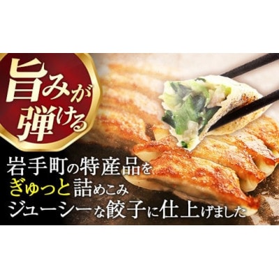 【キャベツの町】野菜たっぷり!しんいちろう餃子(12個入×4箱)