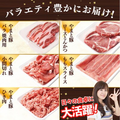 岩手県産 やまと豚5種 計2.6kg