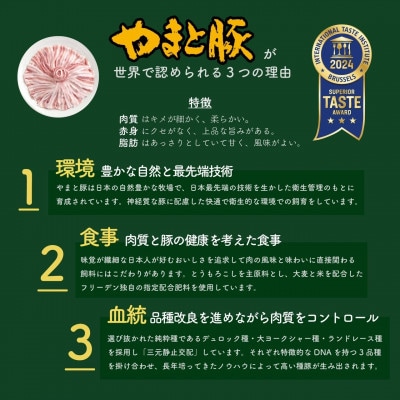 岩手県産 やまと豚5種 計2.6kg