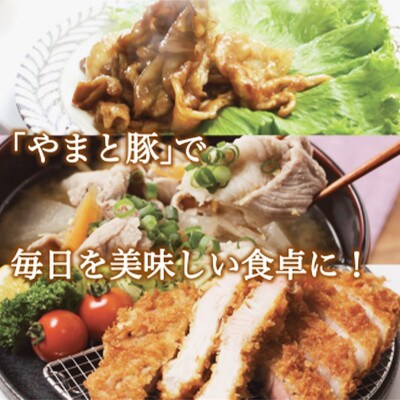 岩手県産 やまと豚5種 計2.6kg