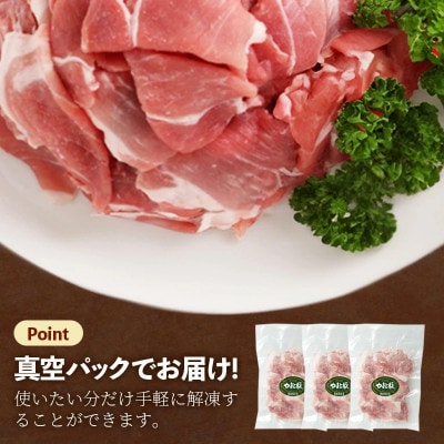 岩手県産やまと豚小間切れ 約2kg(250g×8p)