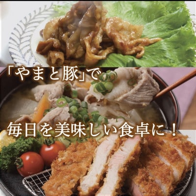 【毎月定期便】岩手県産 やまと豚5種 計2.6kg 全12回