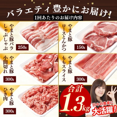 【毎月定期便】岩手県産やまと豚5種計1.3kg全12回