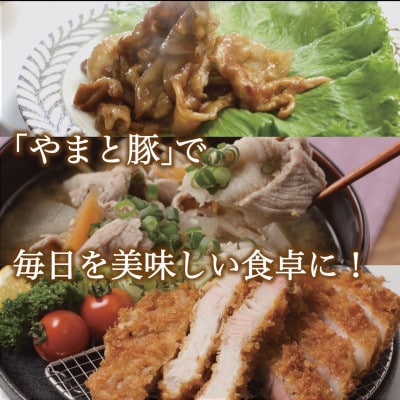 【毎月定期便】岩手県産やまと豚5種計1.3kg全12回