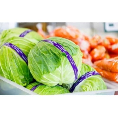 岩手町産の旬野菜セット 新鮮 採れたて 詰合せ おまかせ