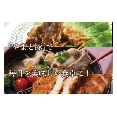 やまと豚3種(モモ バラ ロース 真空パック 各150g)&岩手町の旬野菜セット(5品以上)