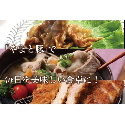 やまと豚バラスライス&岩手町の旬野菜セット(5品以上)