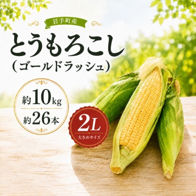 【数量限定】とうもろこし ゴールドラッシュ 2L 約10kg(約26本)岩手県 岩手町産